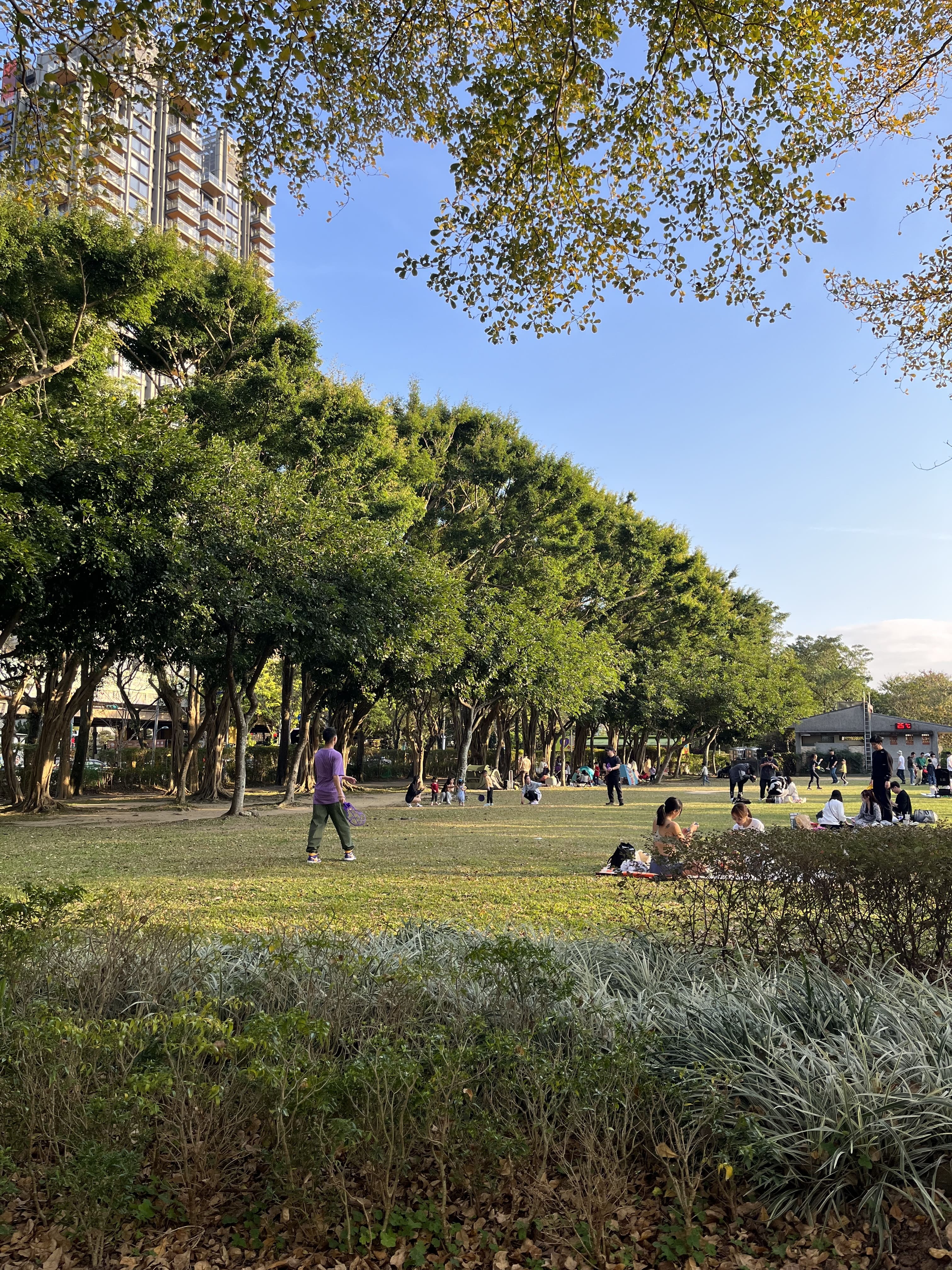 舒活綠意：城市中的體能律動