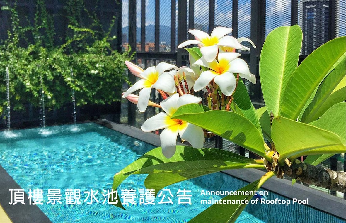 頂樓景觀水池養護公告